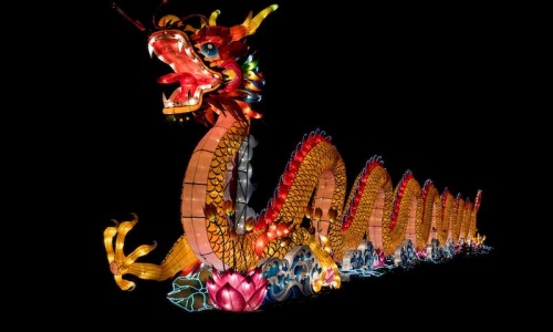 a festive dragon at night